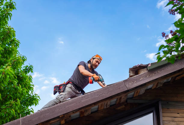 Best Sheet Metal Roofing  in Aloha, OR